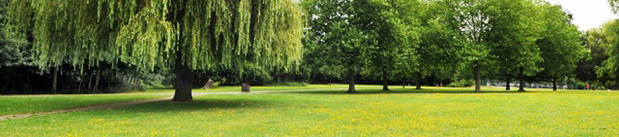 The Shul in the Park